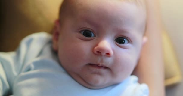 Cute Beautiful Baby Portrait Sweet Infant — Video Stock