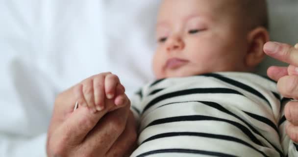 Newborn Baby Infant Held Grandparent Closeup — Wideo stockowe