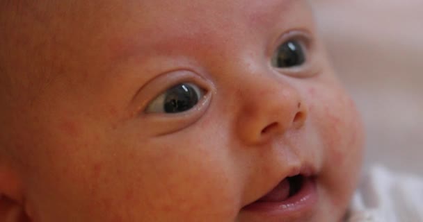 Closeup Happy Newborn Baby Face — Video Stock