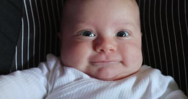 Portrait Newborn Baby Infant Doing Funny Face Expression Happy — Video Stock