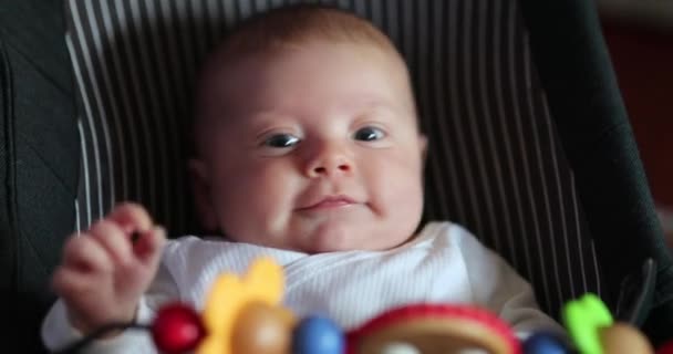 Newborn Baby Infant Toddler Chair Portrait — Wideo stockowe