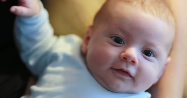 Cute Beautiful Baby Portrait Adorable Infant Face First Month — Video