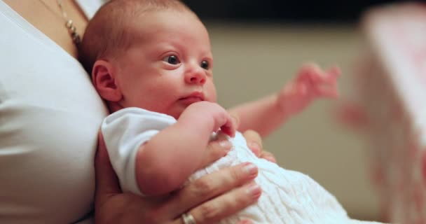 Mom Holding Month Old Newborn Baby Infant — Vídeo de Stock