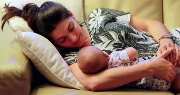本物の率直な母親と赤ちゃん一緒にキスと愛を示す — ストック動画
