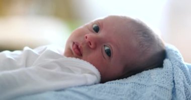 Newborn baby infant close-up face looking to camera in first month of life