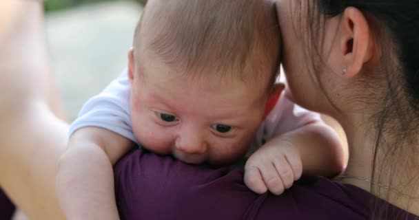 Mother Holding Newborn Baby Infant Outdoors — ストック動画