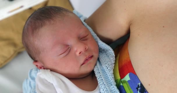Closeup Newborn Baby Face First Week Life Portrait — Stock videók
