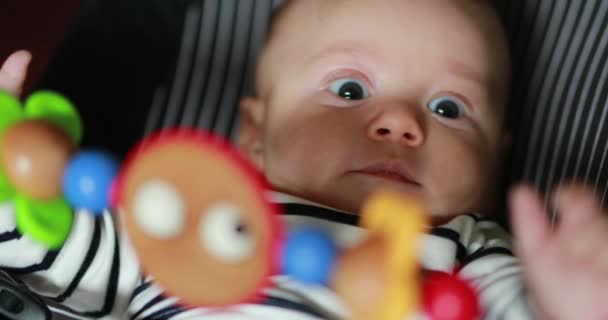 Baby Toddler Infnant Rocker Toddler Chair — Stock video