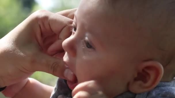 Adorable Cute Baby Boy Biting Adult Finger Playing — Stock videók