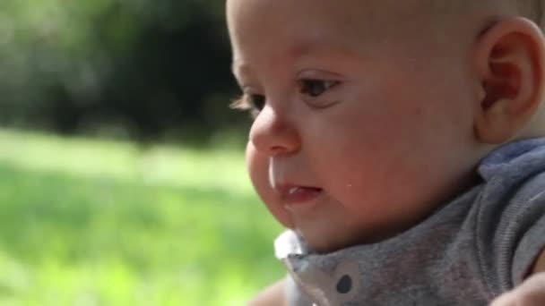 Playign Adorable Cute Three Month Old Baby Park — Video