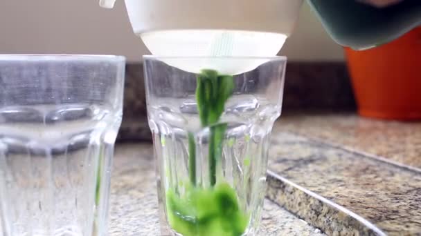 Serving Green Juice Detox Home Made Kale Vegetable Juice — Stockvideo