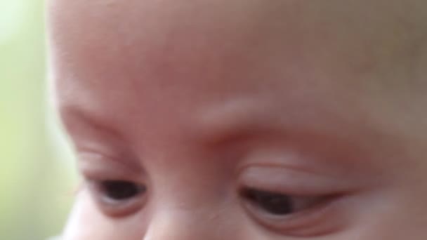 Macro Close Baby Face Eyes — 비디오