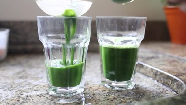 Green Vegetable Juice Detox Juice Made Kale Veggies — Vídeo de Stock