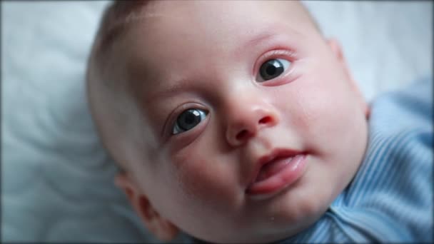 Baby Infant Closeup Face Looking Newborn Expression — Video
