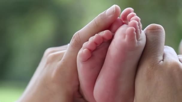 Baby Feet Close Mom Playing Tiny Little Baby Foot — Stockvideo