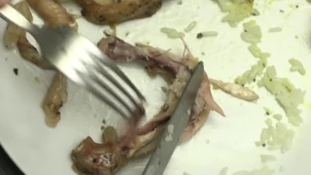 Closeup Person Eating Chicken Macro — Vídeo de Stock