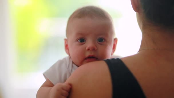 Mom Holding Little Baby Boy Infant Looking Camera Curious — Vídeo de Stock