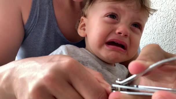Baby Boy Toddler Having Tantrum Crying — Stockvideo