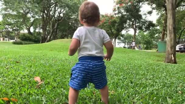 Baby Staying Balance Toddler Standing Park Grass — Stockvideo