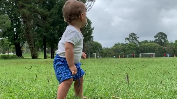 Baby Toddler Boy Standing Outdoors Green Field Park — Stockvideo