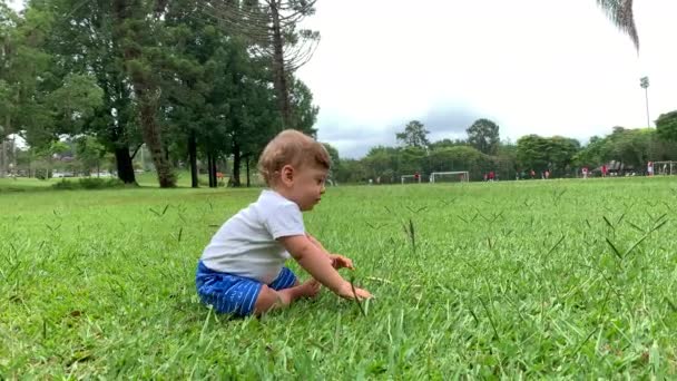 Baby Getting Green Field Scenery — ストック動画