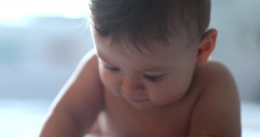 Kameraya bakan sevimli bebek yüzlü. Bebek portresi.