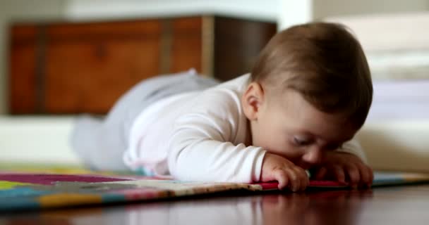 바닥에 귀여운 아기가 카펫을 만지고 세계를 탐험하고 발견하는 — 비디오