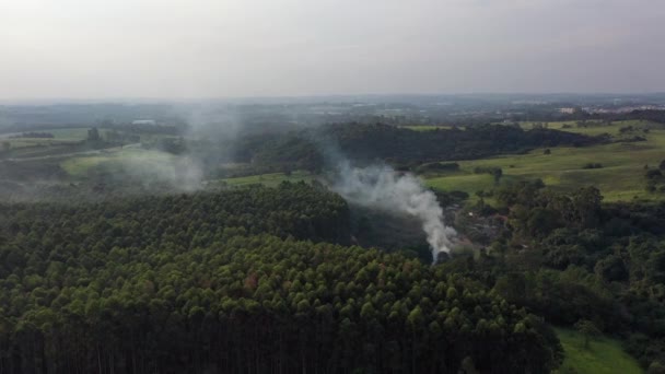 Fire Smoke Burning Aerial View Environment Fire Field — Stok video
