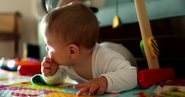 Bebê Bonito Desenvolvimento Infantil Aprendendo Rastejar Tapete Brincar Casa — Vídeo de Stock