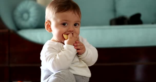 Schattig Baby Eten Appelfruit Schattig Zuigeling Voeden Voedzame Gezonde Appel — Stockvideo