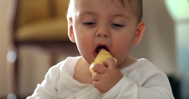 Rozkošné Dítě Jíst Jablečné Ovoce Roztomilé Kojence Krmení Výživné Zdravé — Stock video