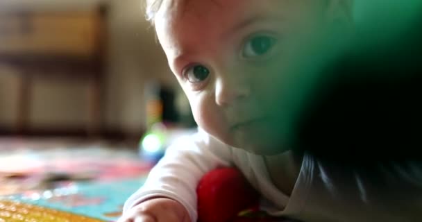 Baby Child Touching Camera Lens Close Infant Hand Reaching Touching — Stockvideo