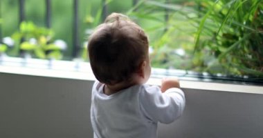 Baby boy leaning on window looking outdoors, infant learning to stand