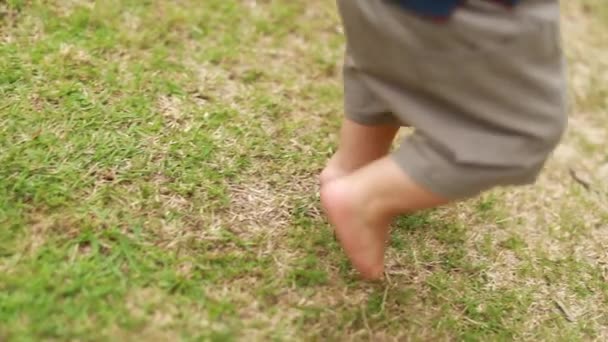Close Baby Feet Toes Walking Lawn — ストック動画