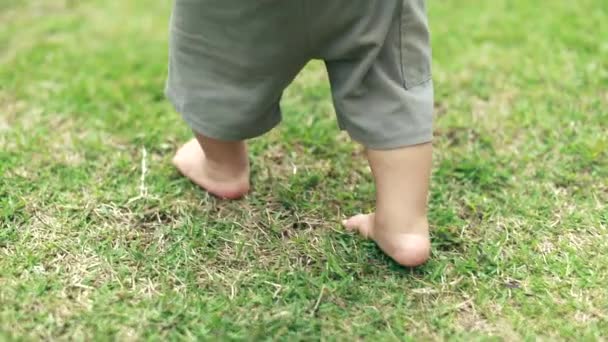 Baby Feet Walking Barefoot Grass Outdoors — ストック動画