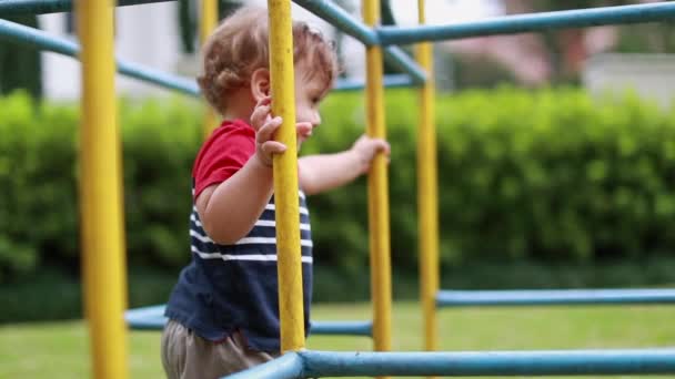 Joyful Cute Baby Toddler Infant Entering Playground Monkey Bar — ストック動画