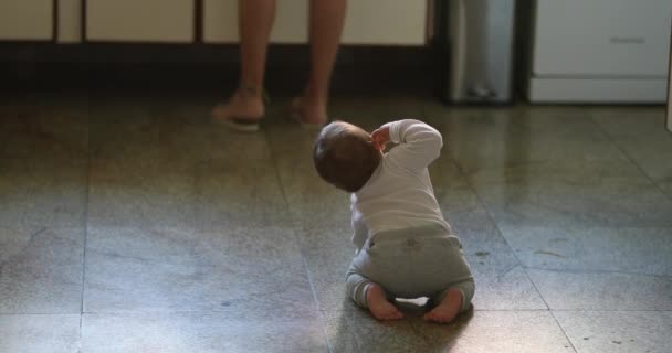 Cute Baby Infant Crawling Kitchen Floor Home — Video