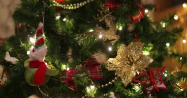 Noel ağacı tatili yakın çekim sezonu