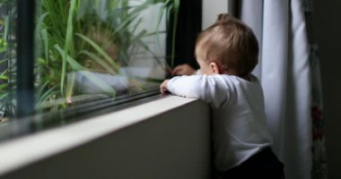 Sevimli bebek ayakta durmayı öğreniyor pencereye yaslanıyor dışarıya bakıyor ele uzanıyor