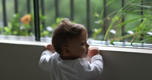 Adorable Bebé Sosteniendo Ventana Con Los Brazos Niño Mirando Hacia — Vídeo de stock