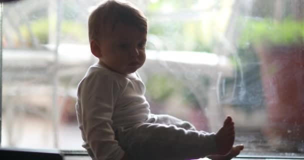 Μωρό Βρέφος Σέρνεται Στο Πάτωμα Στο Σπίτι — Αρχείο Βίντεο