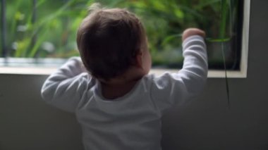 Toddler leaning by window wanting to go outside