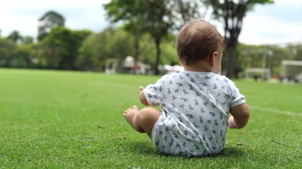 Baby Todlder Siting Grass Park — Stockvideo