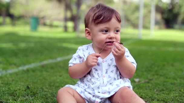 Pensive Infant One Year Old Boy Nature Contemplative Baby Portrait — Stockvideo