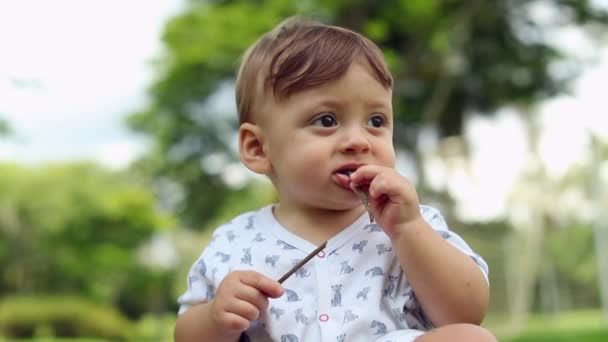 Baby Toddler Portrait Outdoors Contemplative Infant Child — Stockvideo