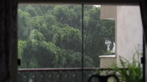 Stormy Day Seen Window Home Raining Living Room — Stock videók