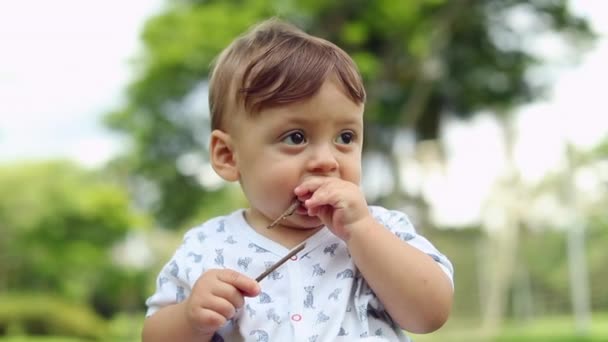 Pensive Baby Portrait Contemplative One Year Old Toddler Boy — Stockvideo