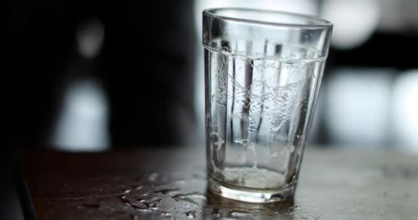 Empty Small Beer Glass Cup Close — Vídeos de Stock