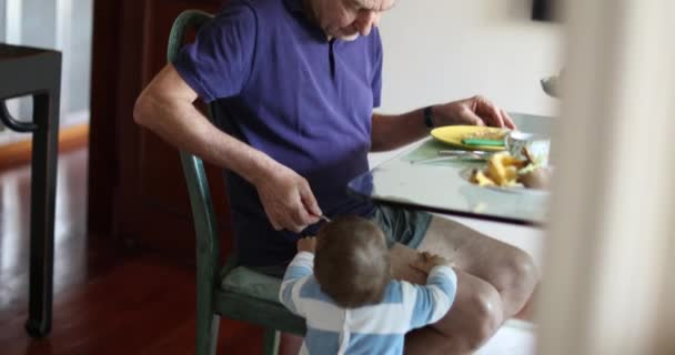 Grandfather Feeding Baby Toddler Boy Standing Next Morning Breakfast Table — Vídeo de Stock