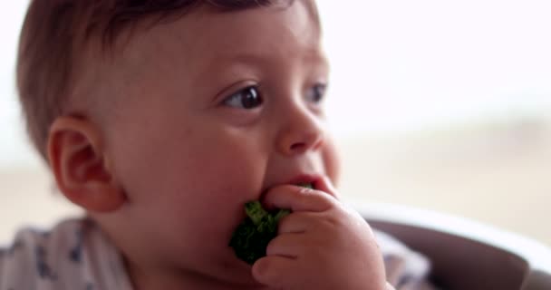 Baby Eating Broccoli Vegetable Self Feeding Healthy Snack — 图库视频影像